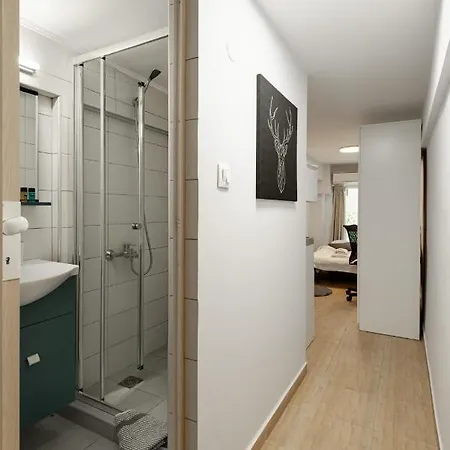 Downtown Studio Διαμέρισμα